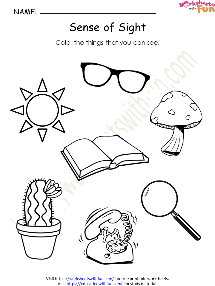 Five Senses Sight Worksheets